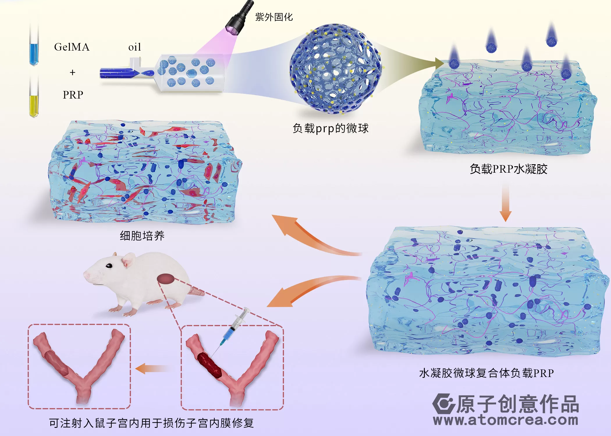 为青岛大学绘制的small插图中稿