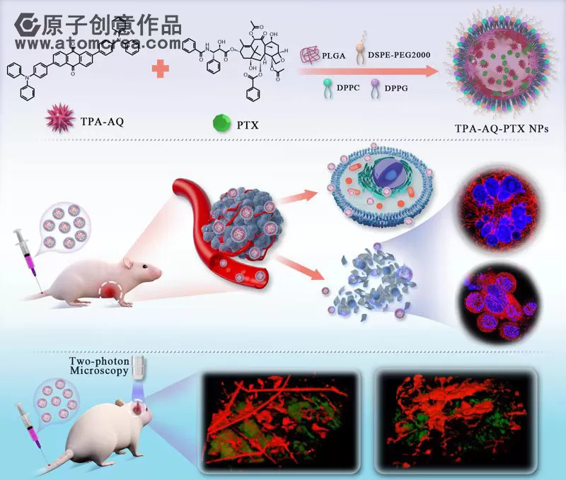 为南方医科大学绘制的ACS Appl. Mater插图中稿