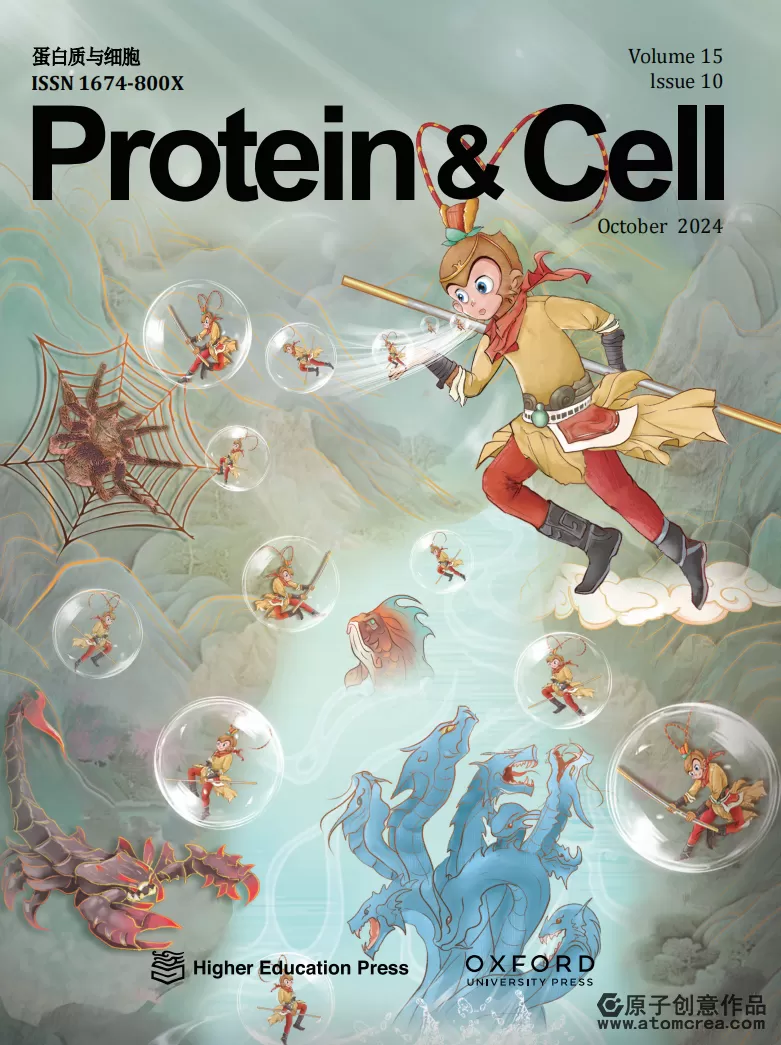 为北京大学绘制的 Protein & Cell封面中
