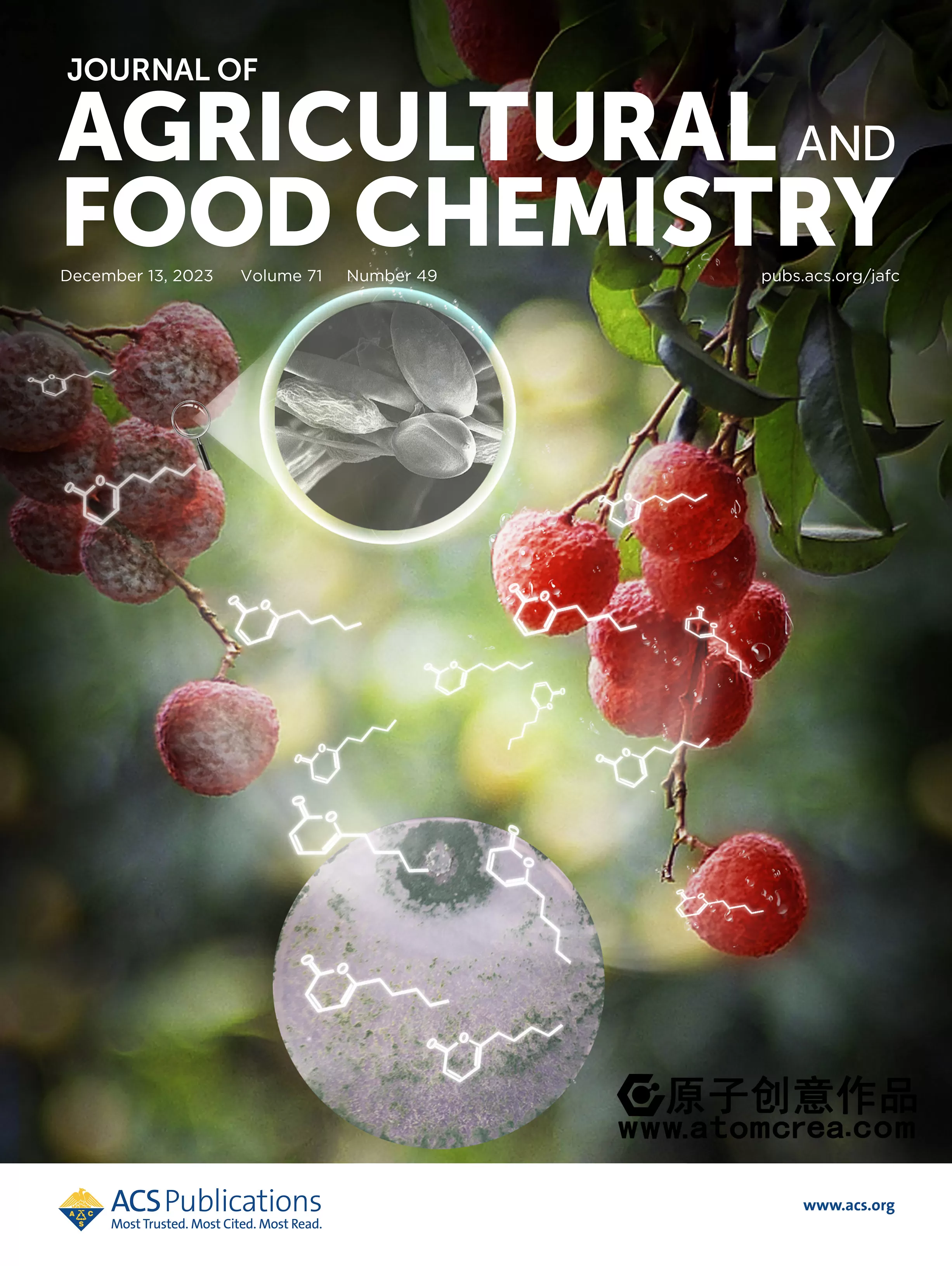 为海南大学绘制的封面中稿啦！
