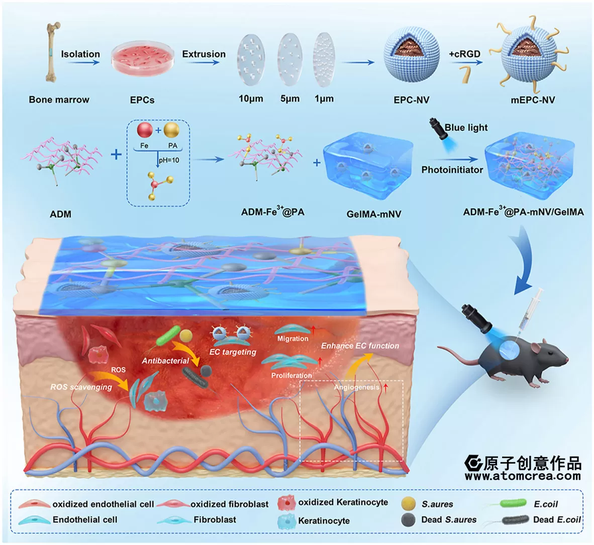 为华中科技大学绘制插图中稿啦！