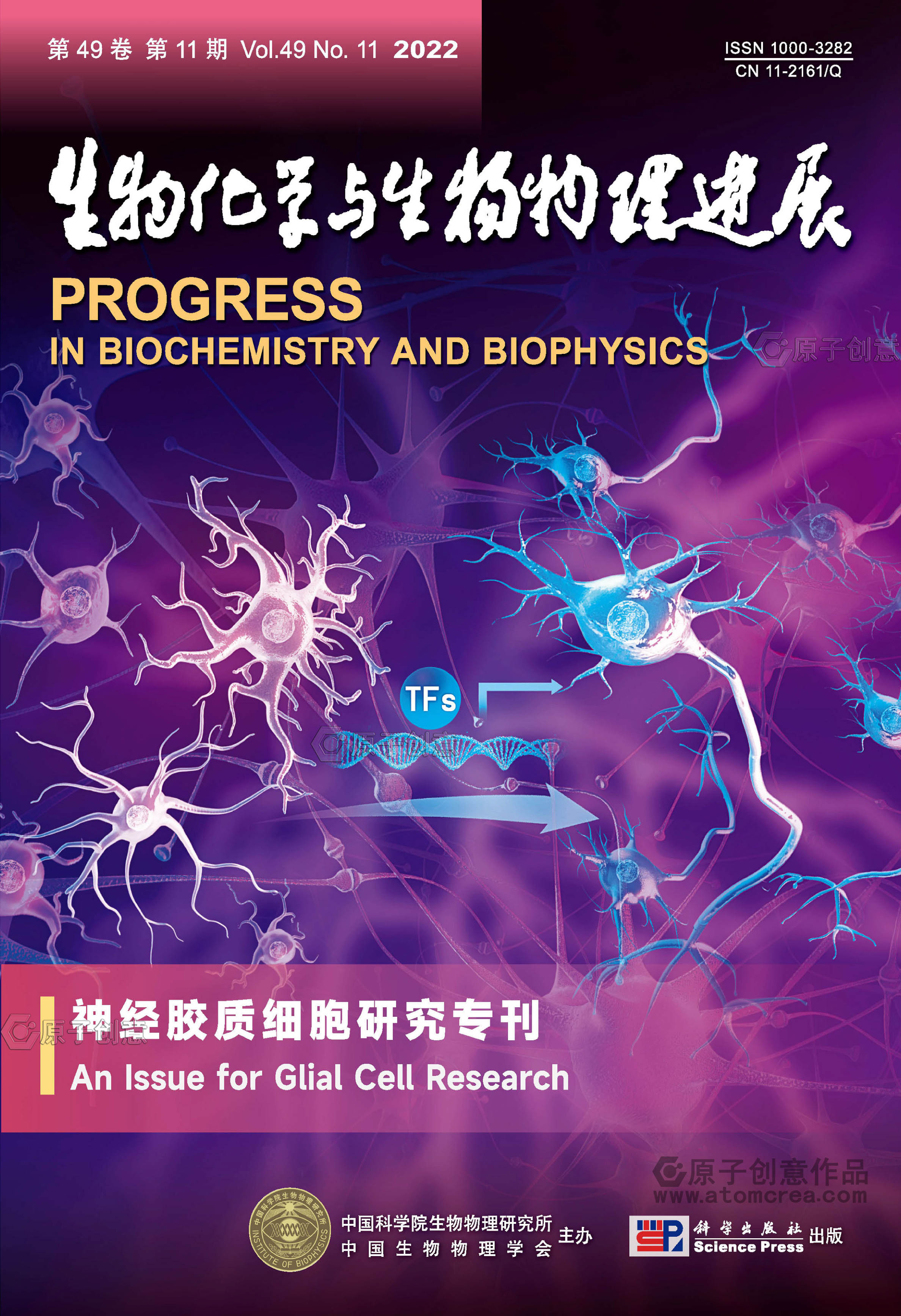 为首都医科大学绘制的封面中稿啦!