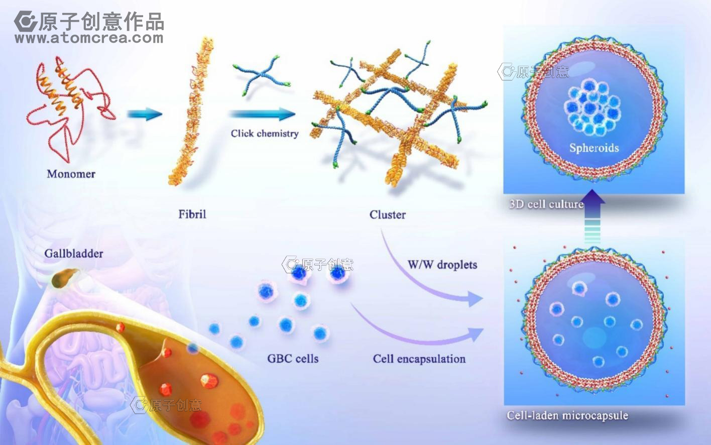 科研绘图|为上海交通大学绘制插图中稿啦!