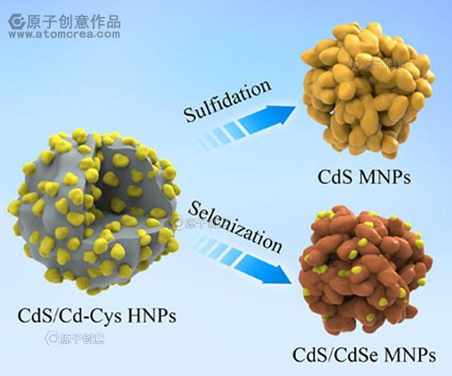 为周口师范大学绘制的插图中稿啦!