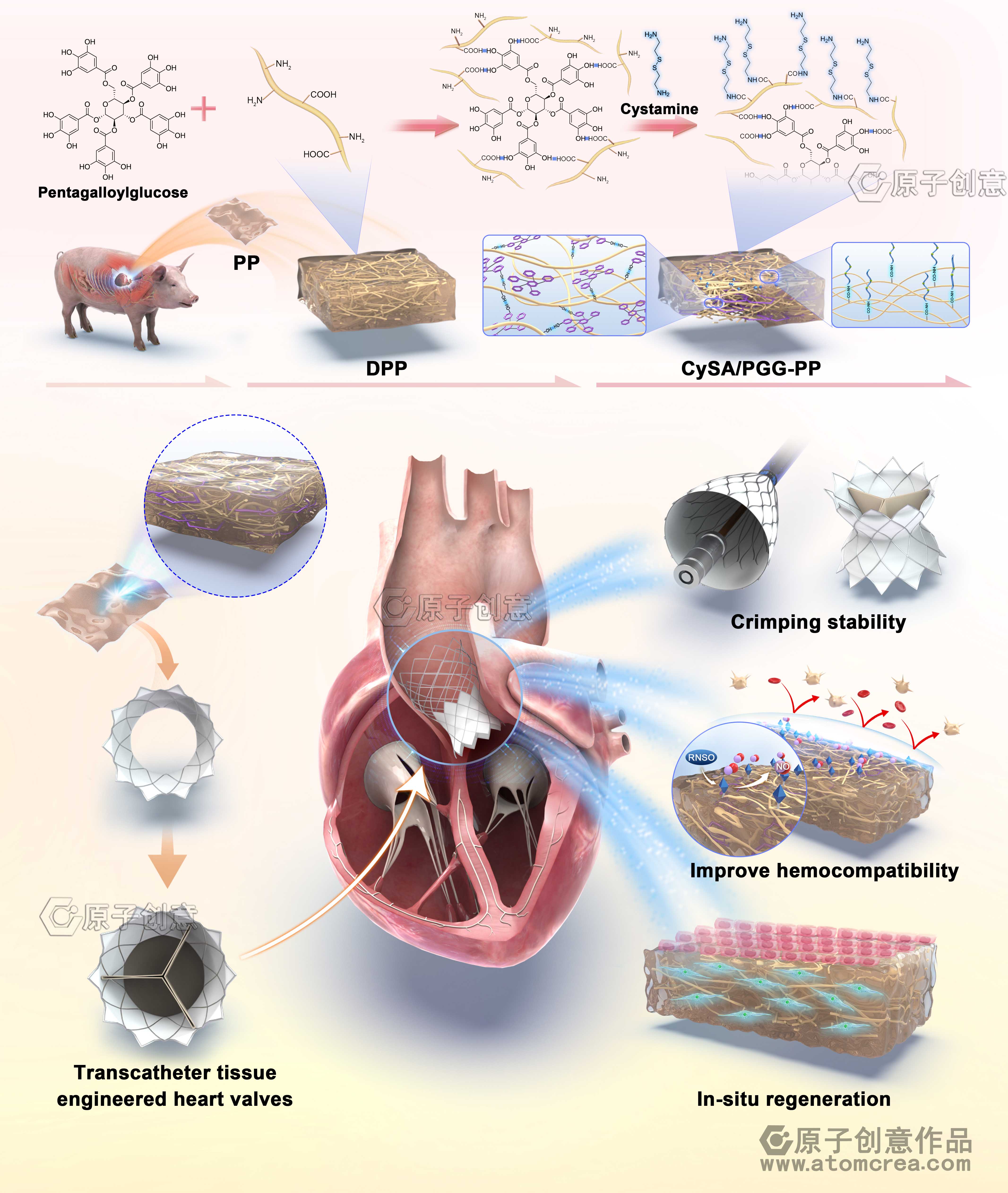 为华中科技大学绘制的插图中稿啦!