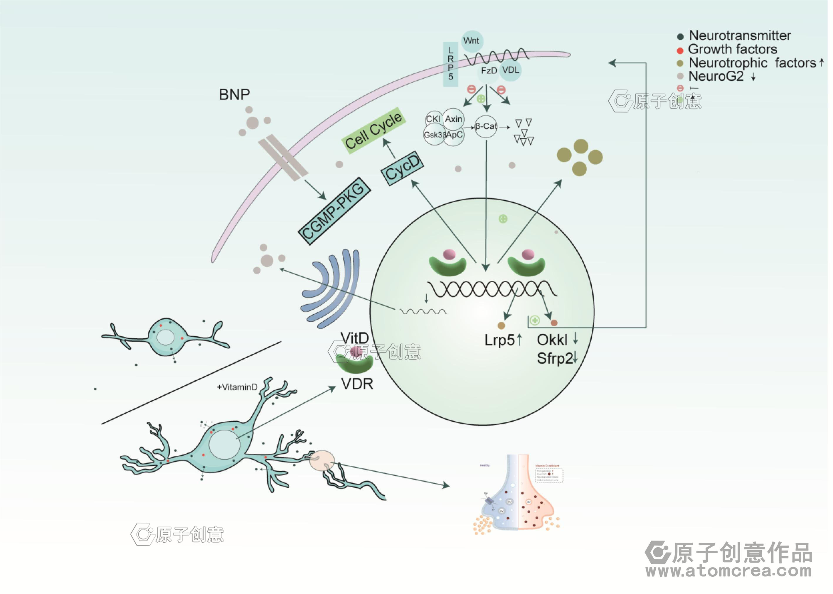 为中南大学绘制的插图中稿啦!