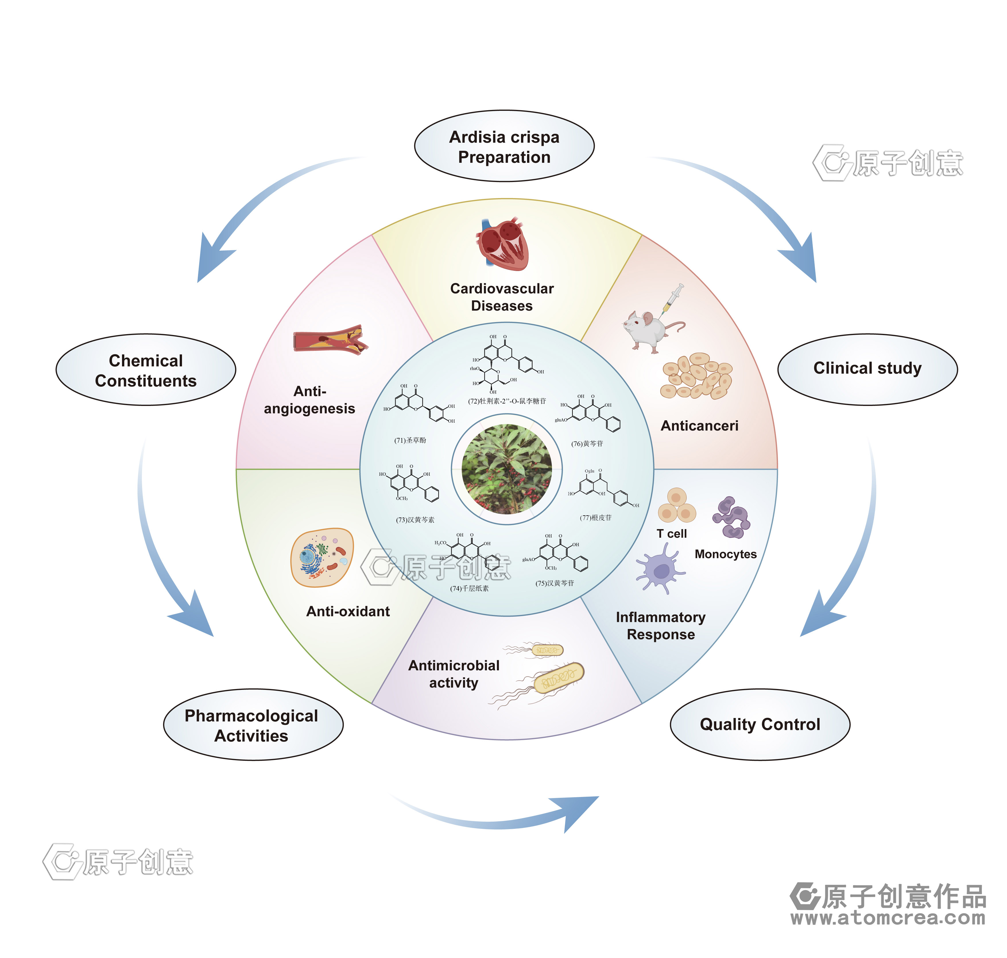 科研绘图|为广东药科大学绘制的插图中稿啦!