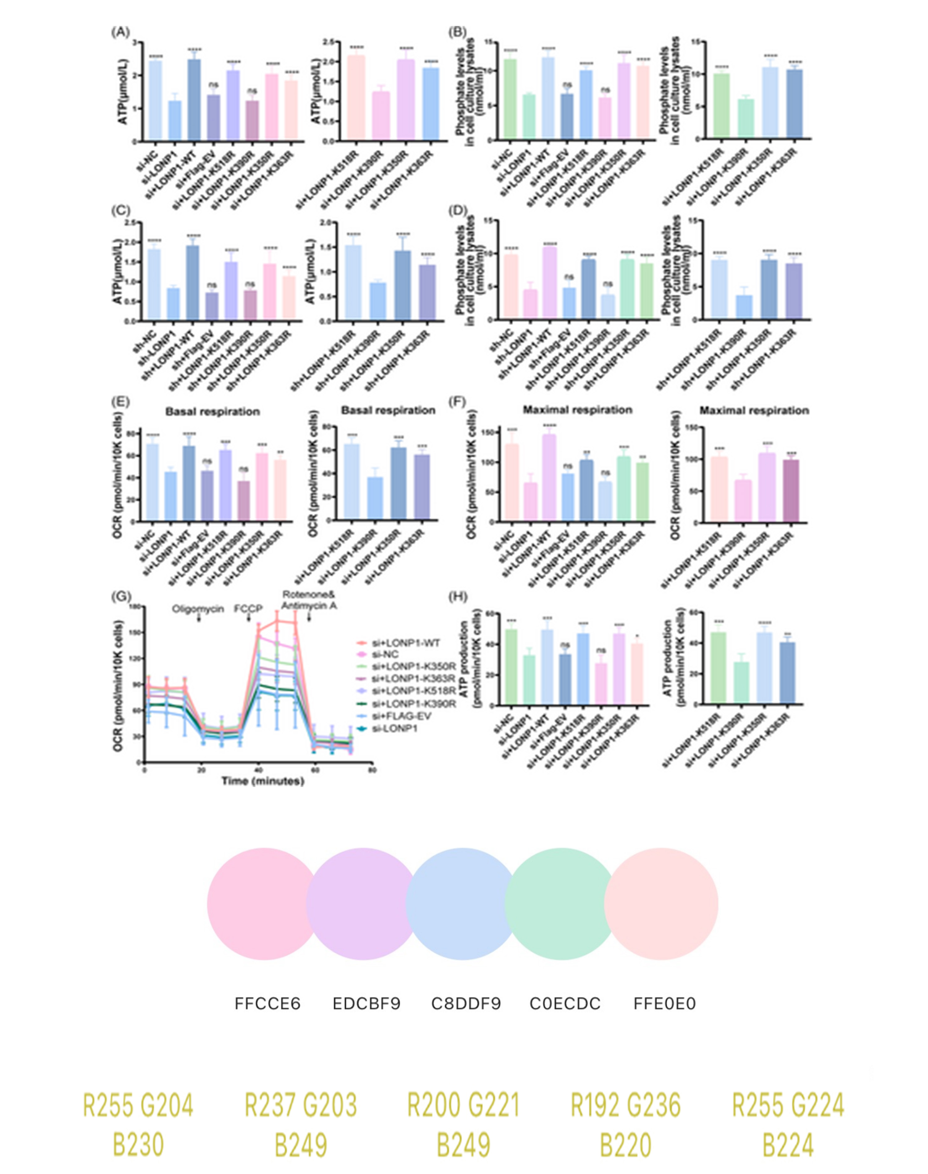 科研绘图｜配色分享（94）数据图