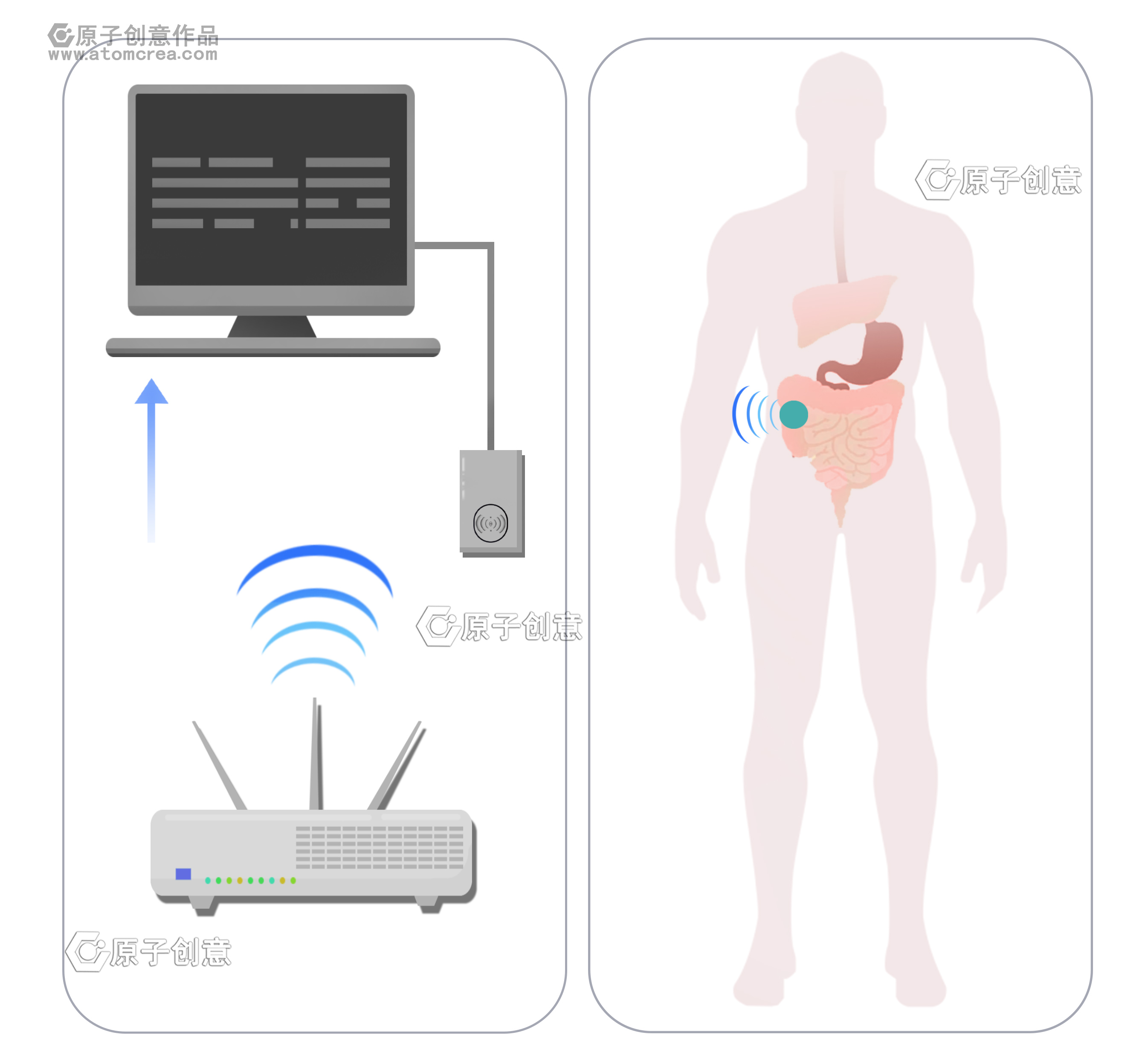 科研绘图|为武汉大学绘制的插图中稿啦!