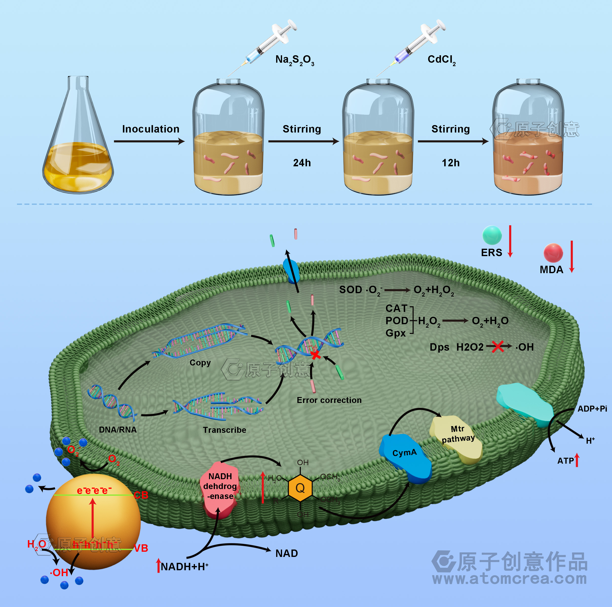 科研绘图|为东北林业大学绘制的插图中稿啦!