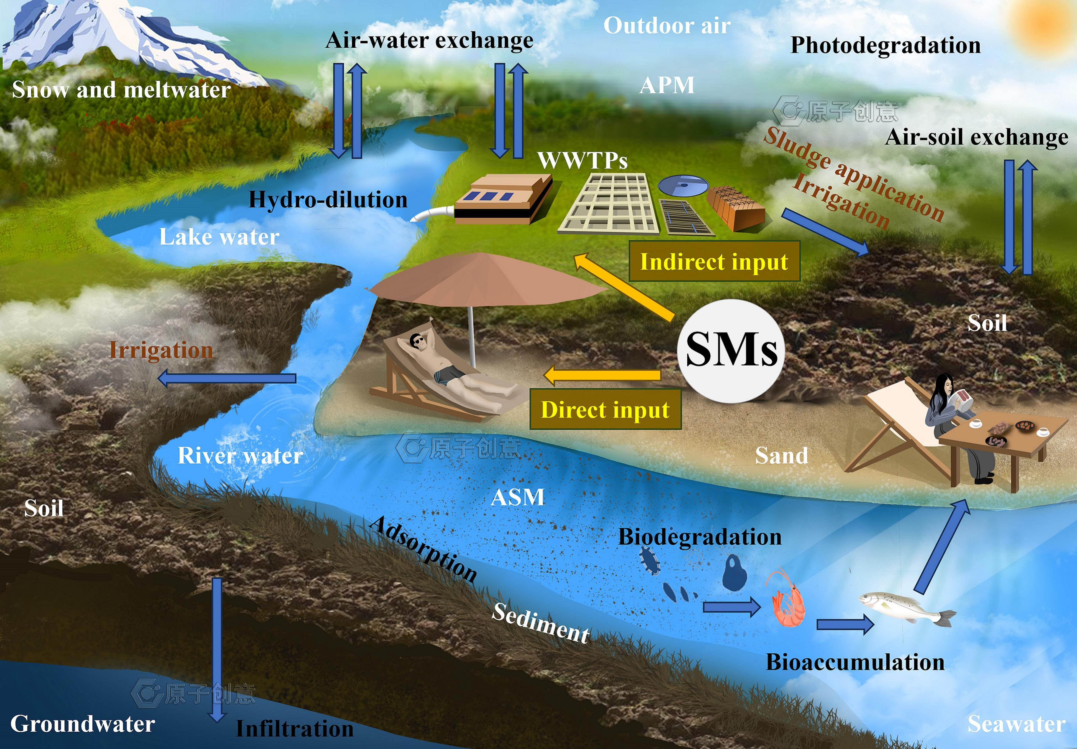 我们绘制的插图中稿了