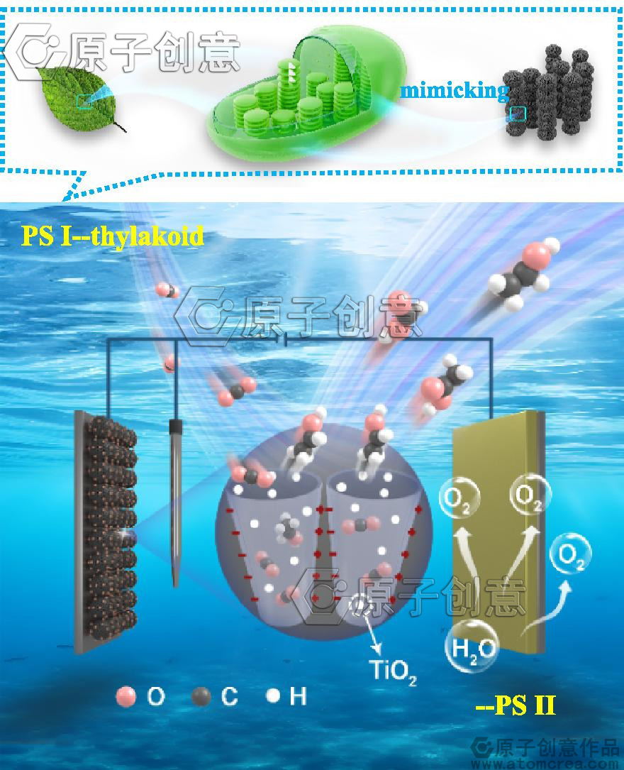 我们绘制的插图中稿了