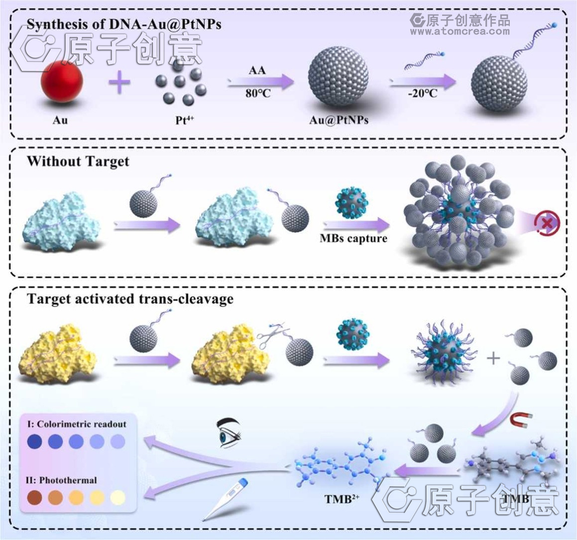 为成都中医药大学绘制的插图中稿了
