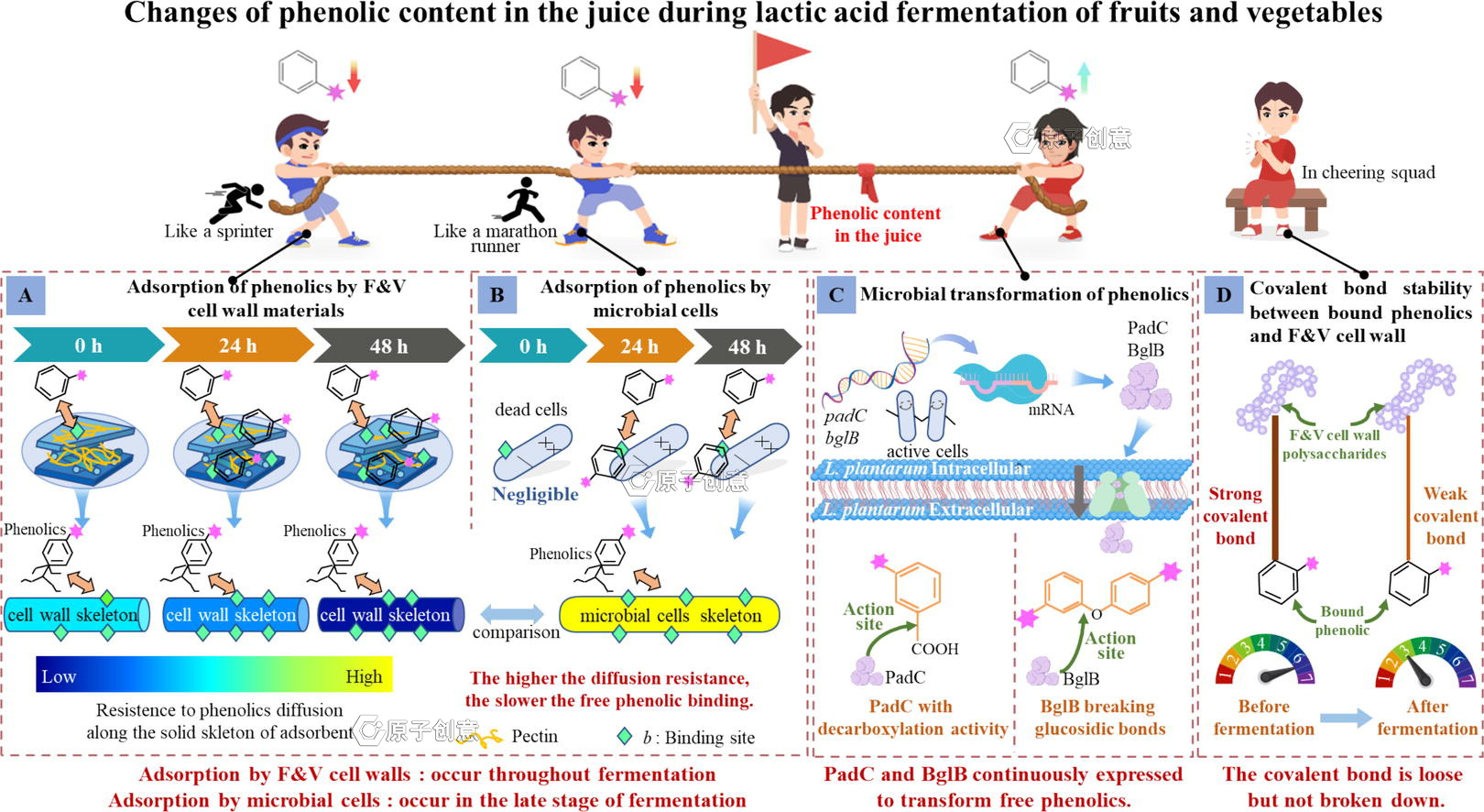 我们绘制的插图中的稿了