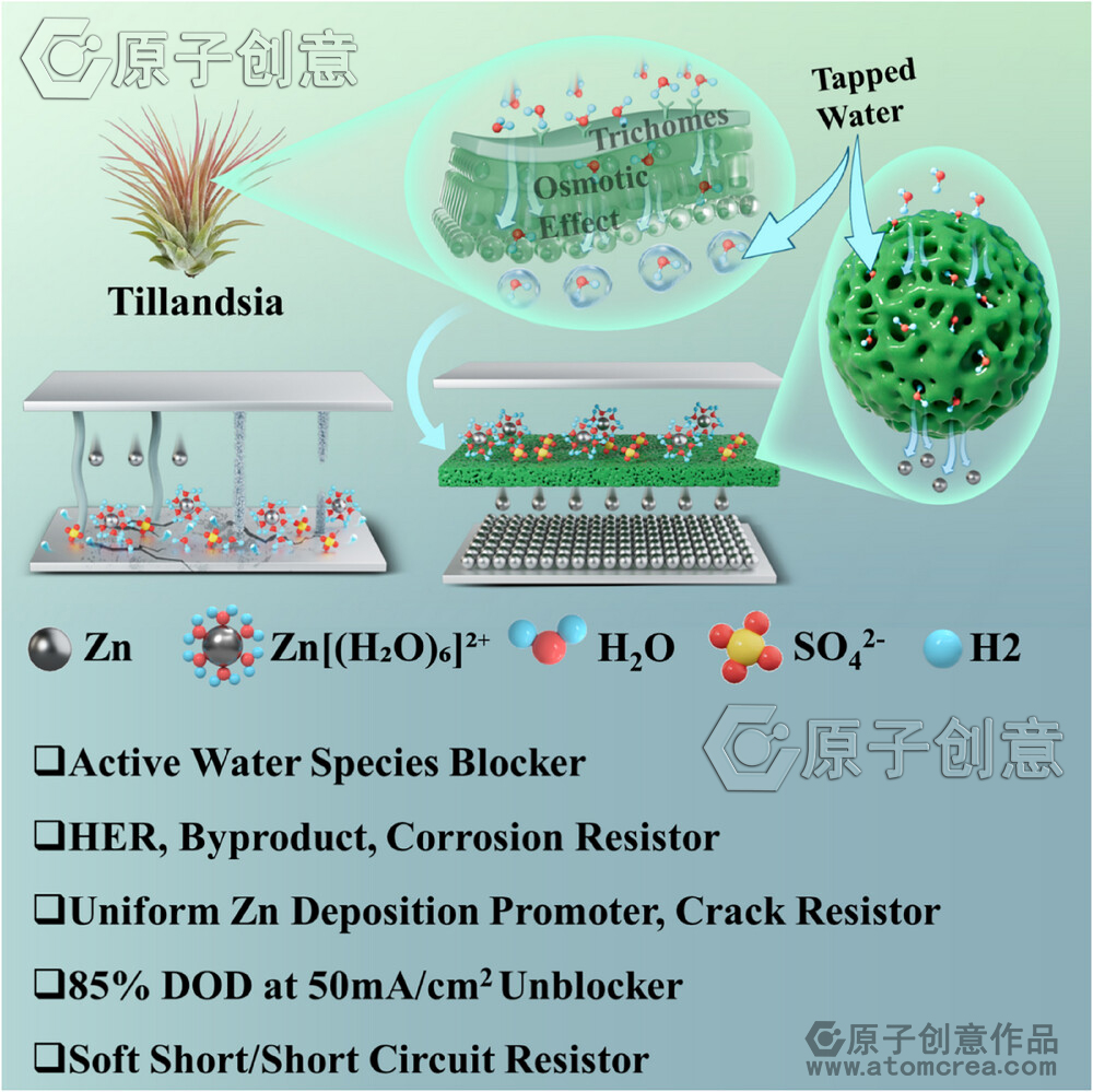 为西北工业大学绘制的插图中稿了