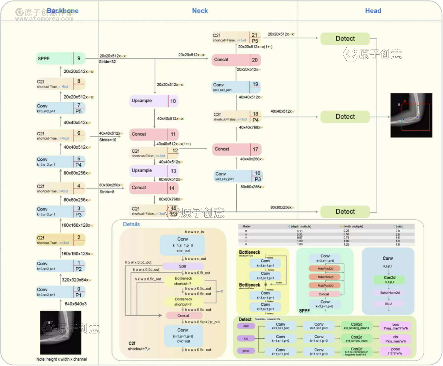 为重庆医科大学绘制的插图中稿了
