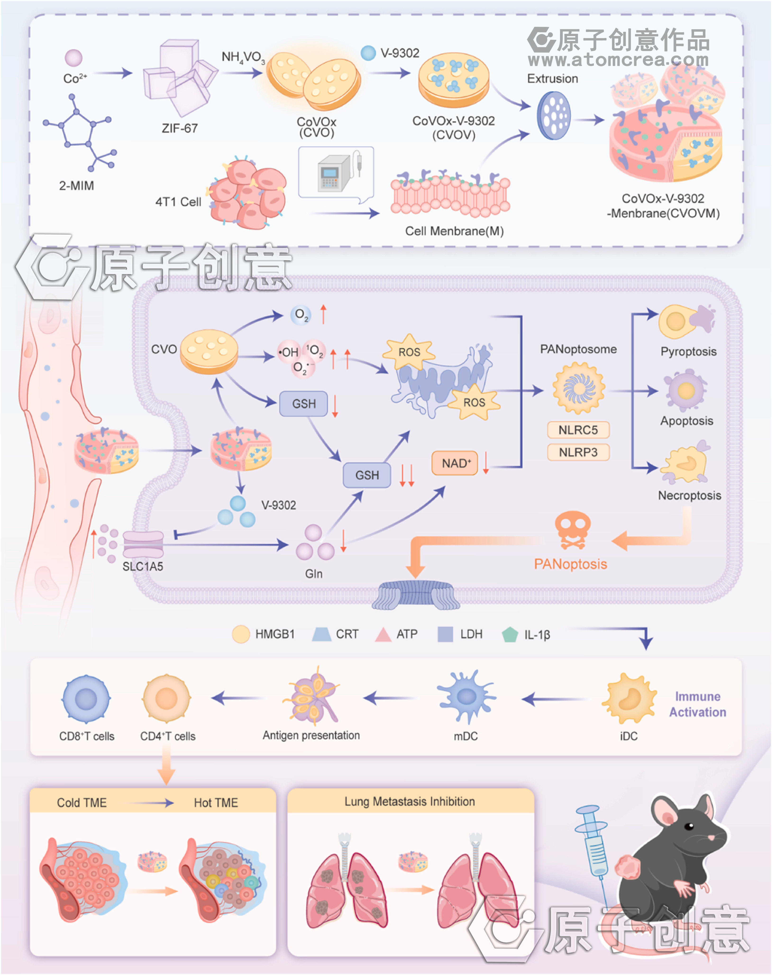 为徐州医科大学绘制的插图中稿了