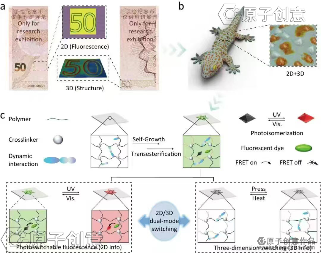 我绘制的插图中稿了