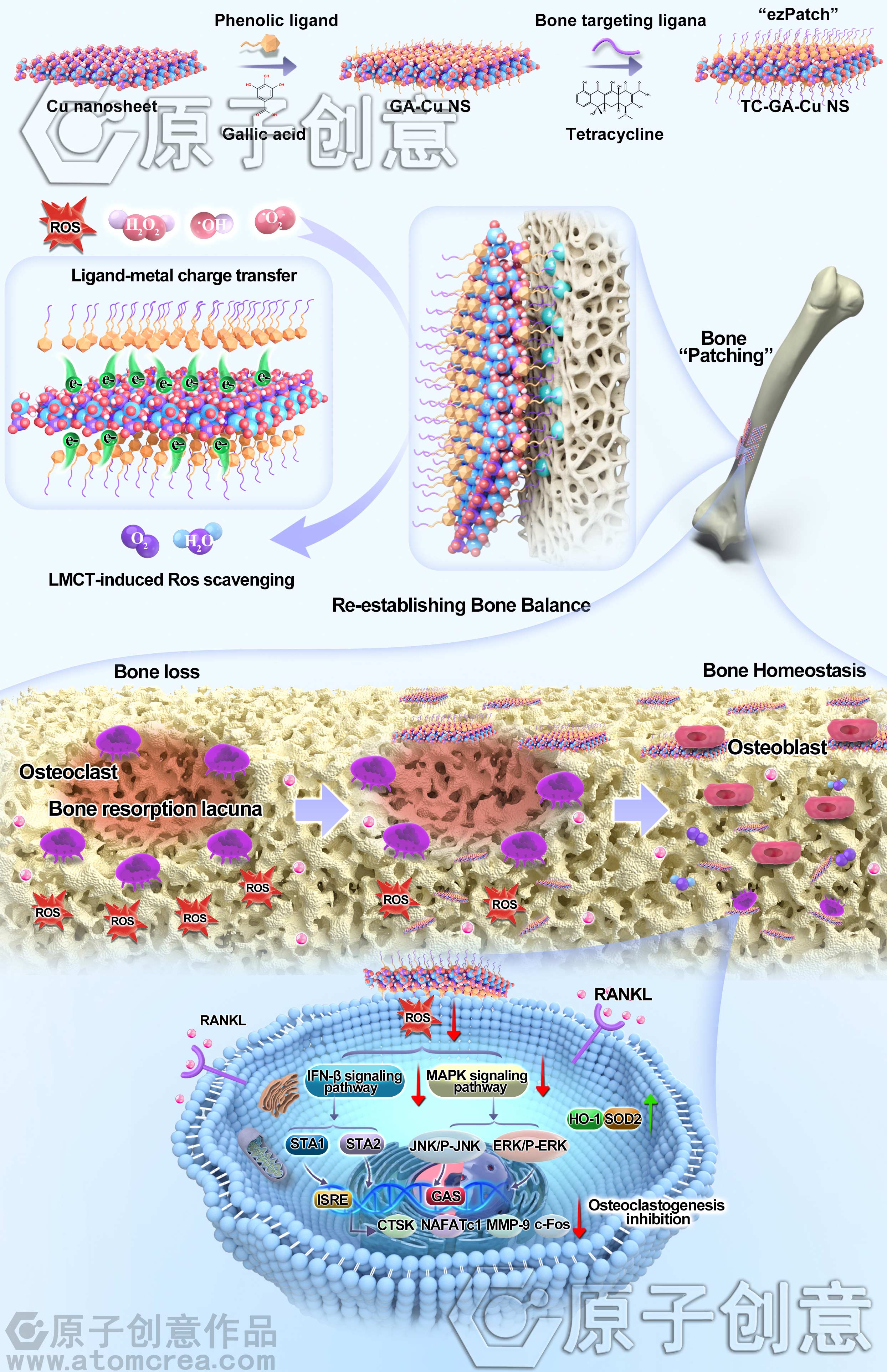 为山东大学绘制的BMEMat插图