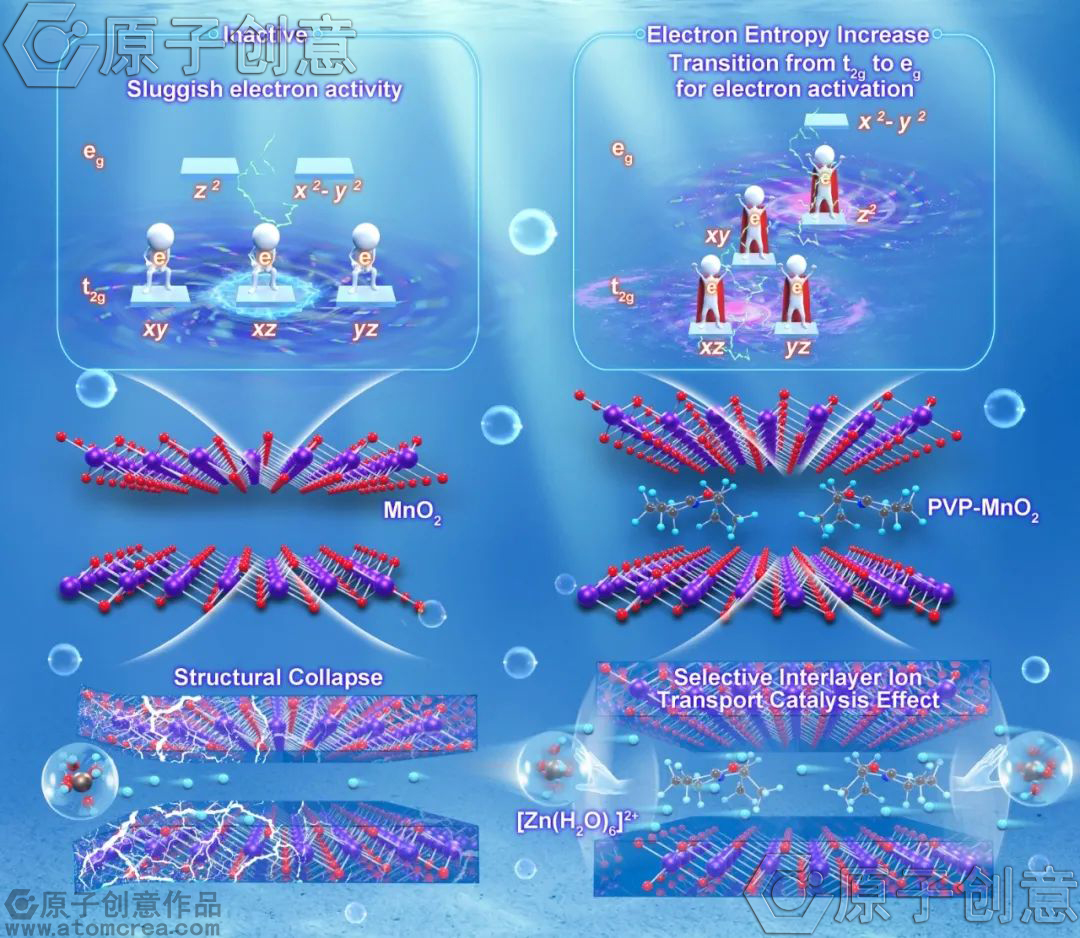 为北京理工大学绘制的插图中稿了