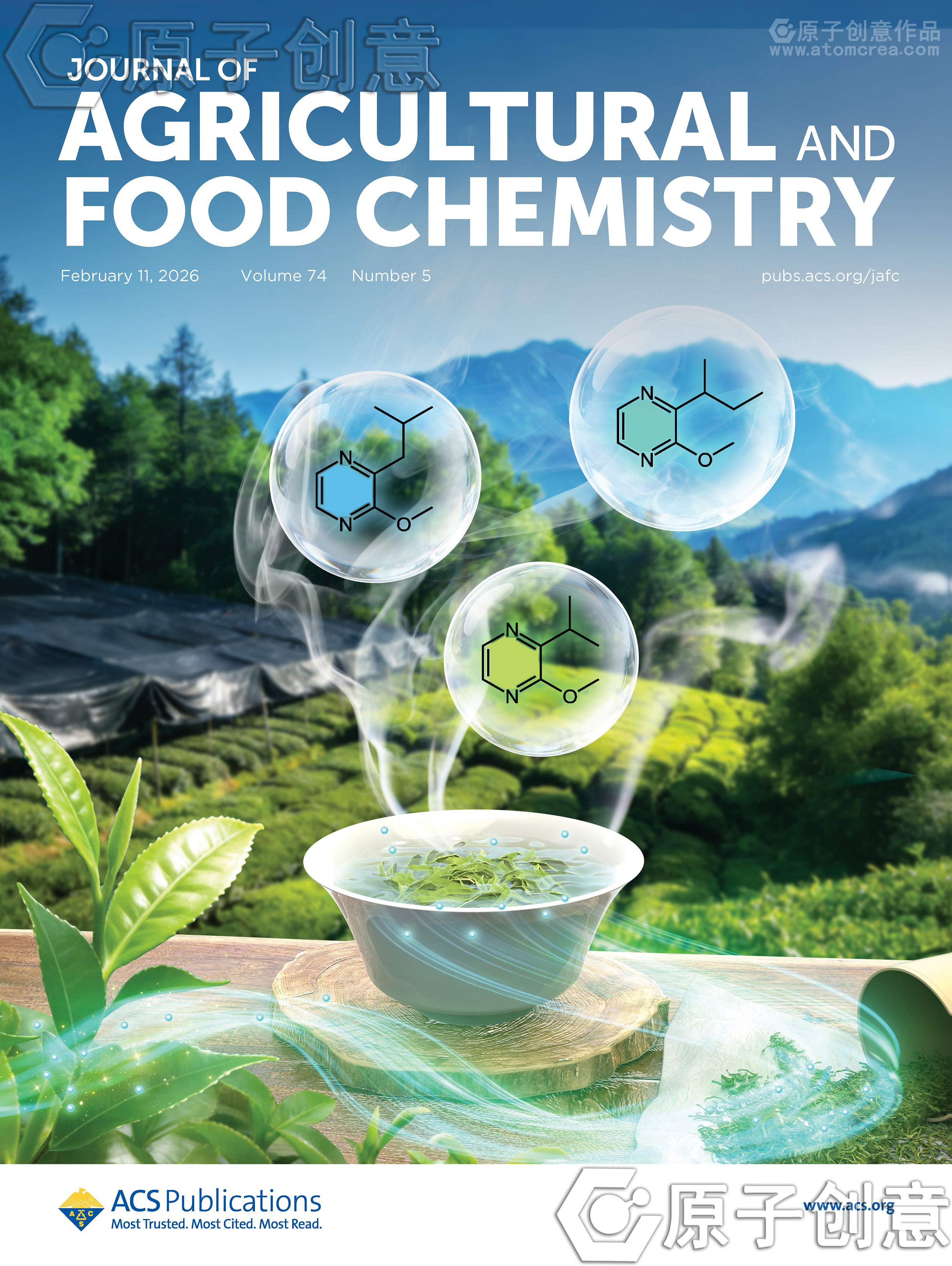 为浙江省农业科学院 蚕桑与茶叶研究所绘制的封面中稿了