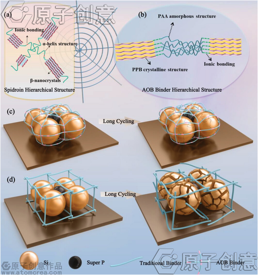 为青岛生物能源与过程研究所绘制的插图中稿了