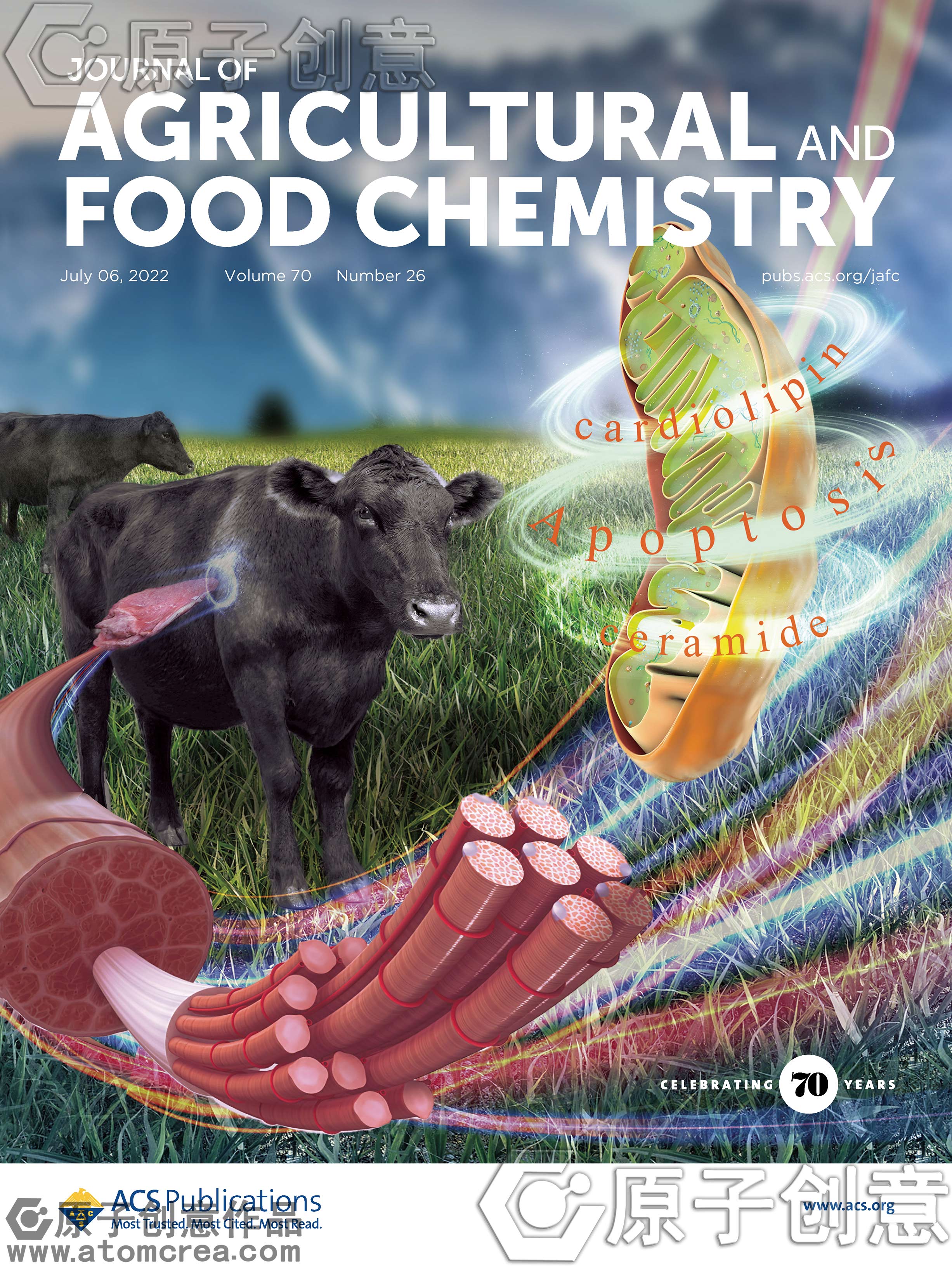 为AFC绘制的封面