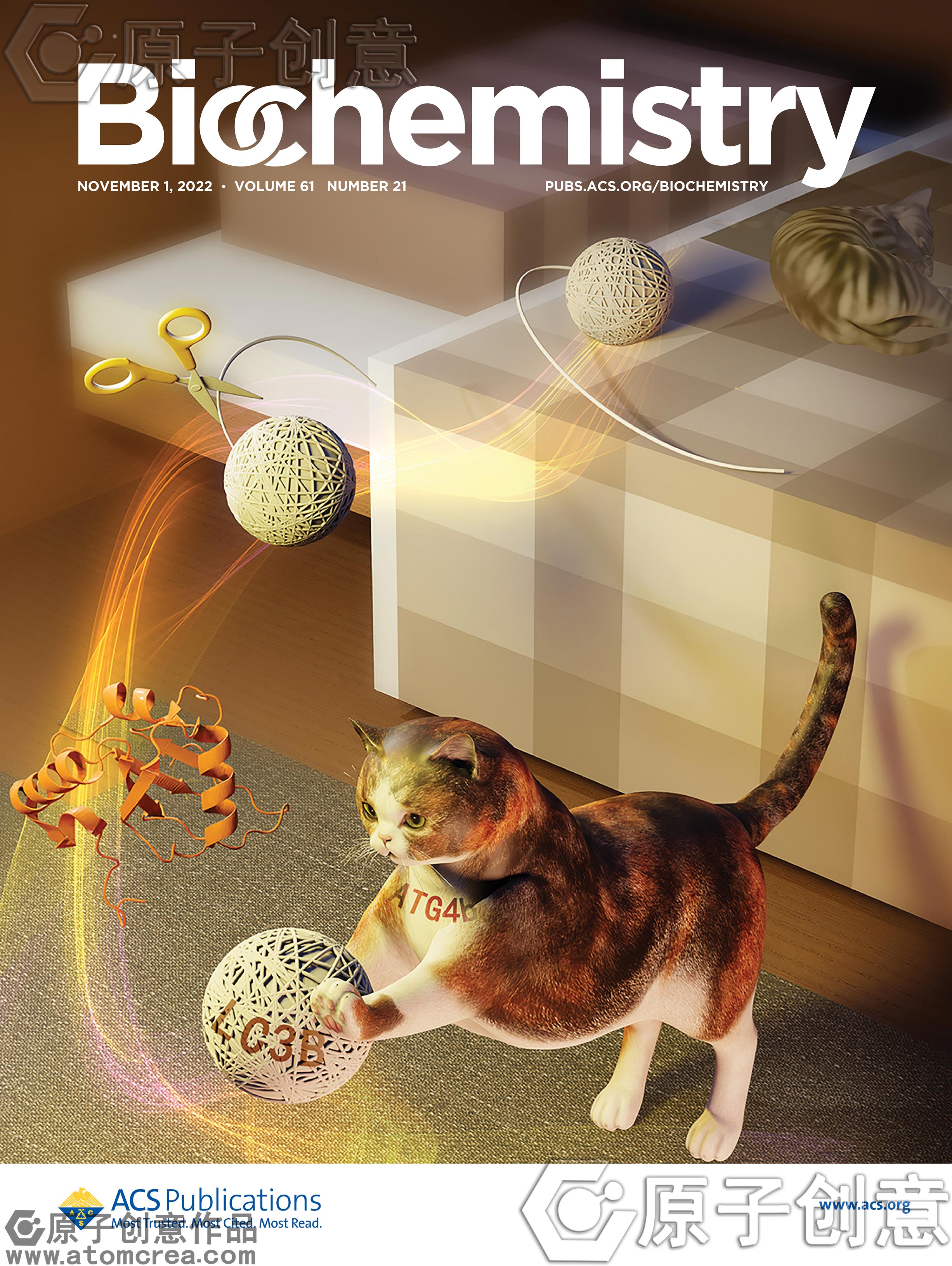 为Biochemistry绘制的封面