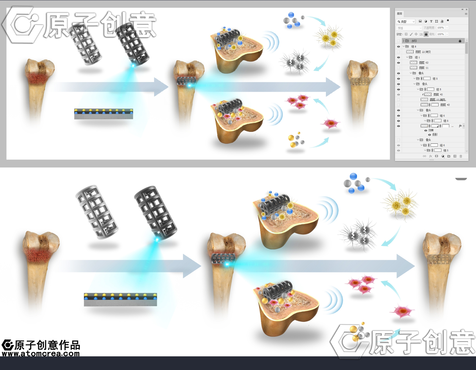 为BM绘制的插图