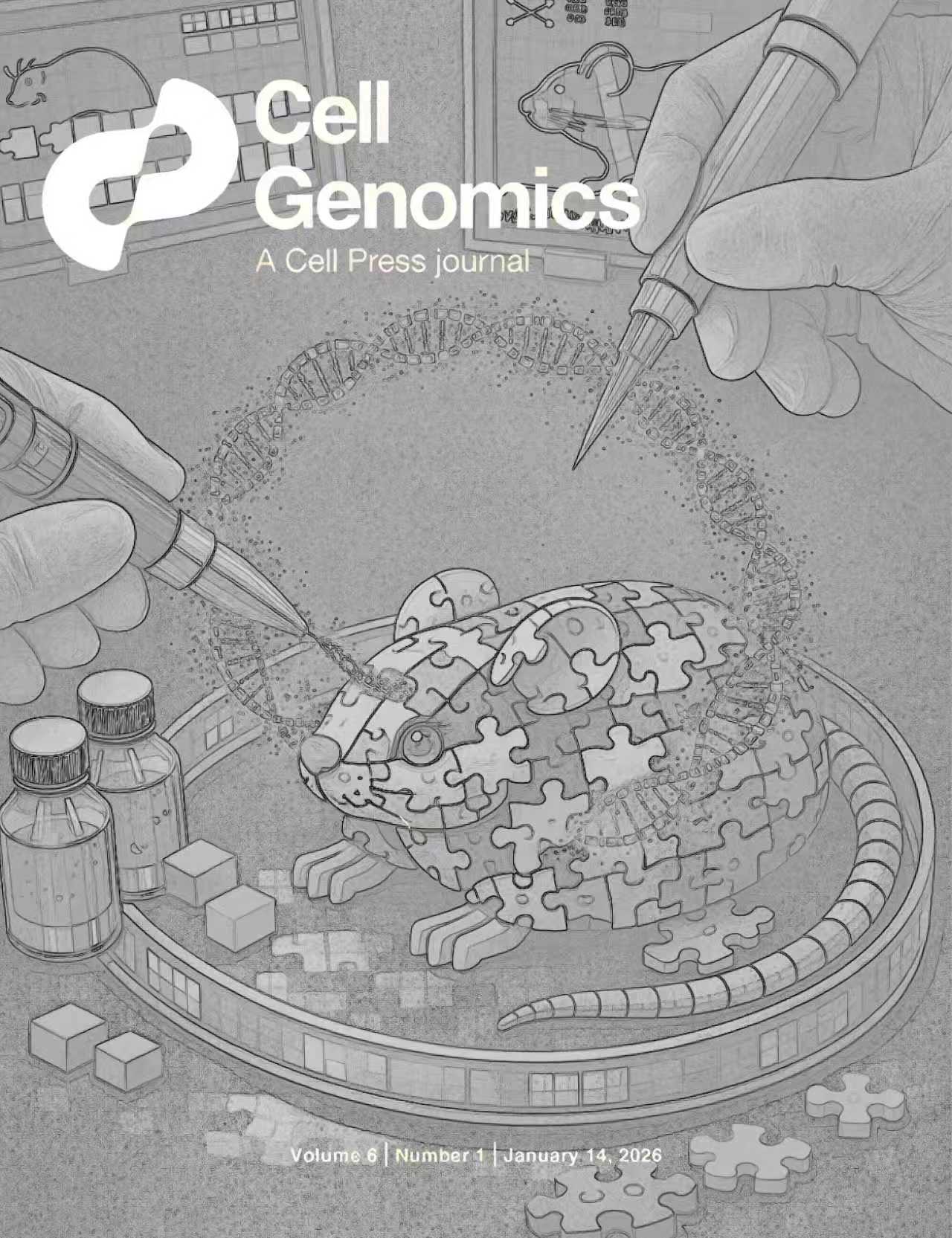 为天津大学吴毅教授团队绘制的Cell子刊封面作品 为天津大学吴毅教授团队绘制的Cell子刊封面作品