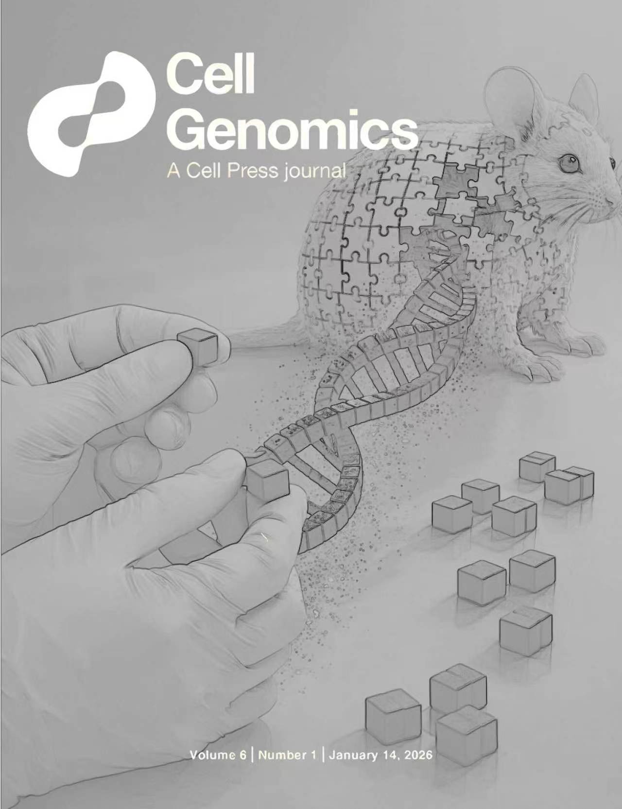 为天津大学吴毅教授团队绘制的Cell子刊封面作品 为天津大学吴毅教授团队绘制的Cell子刊封面作品