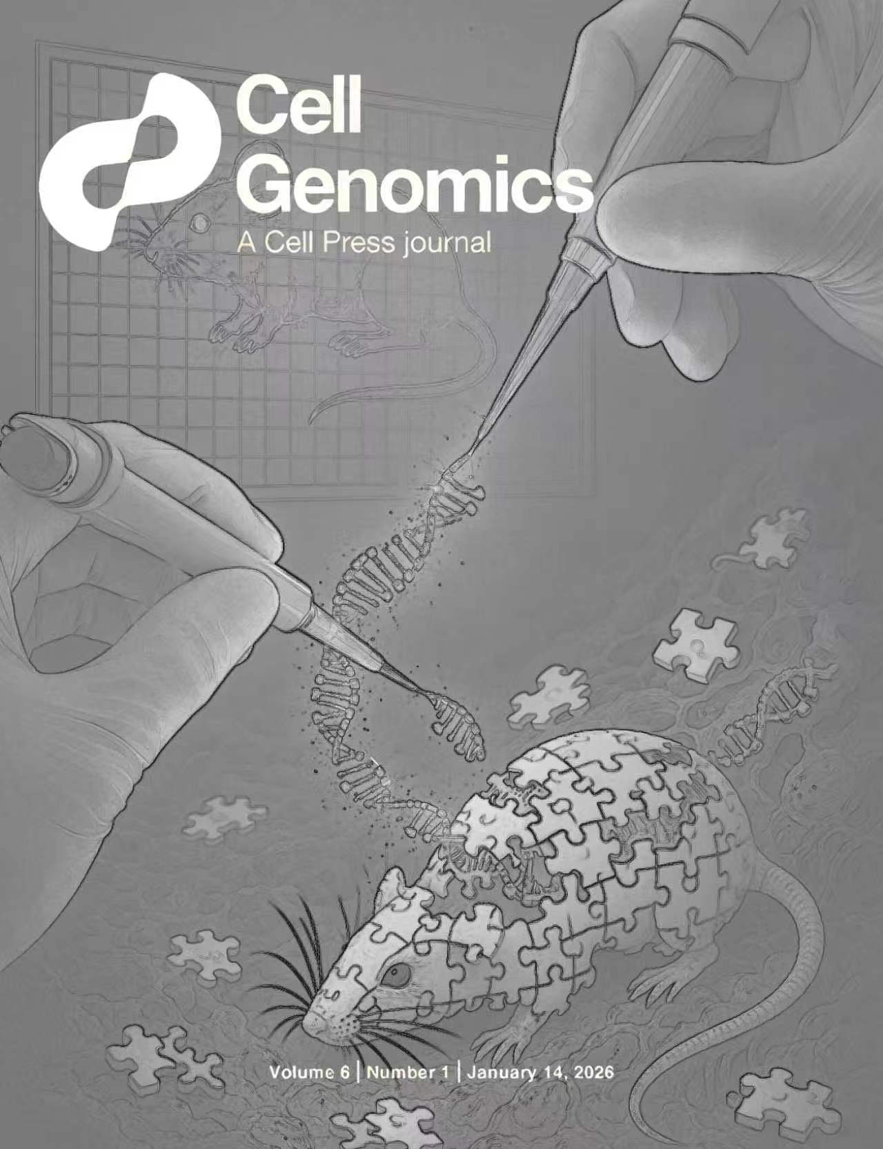 为天津大学吴毅教授团队绘制的Cell子刊封面作品 为天津大学吴毅教授团队绘制的Cell子刊封面作品
